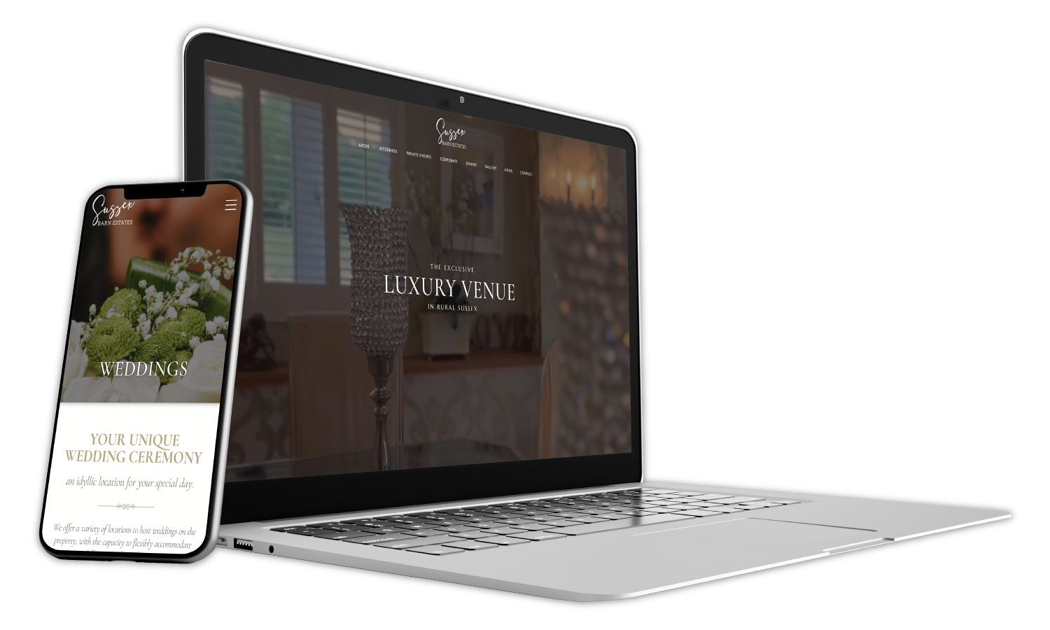 web-design-sussex